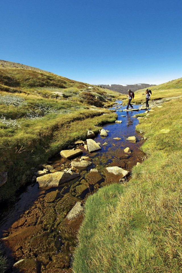 Australian Alps Walking Track