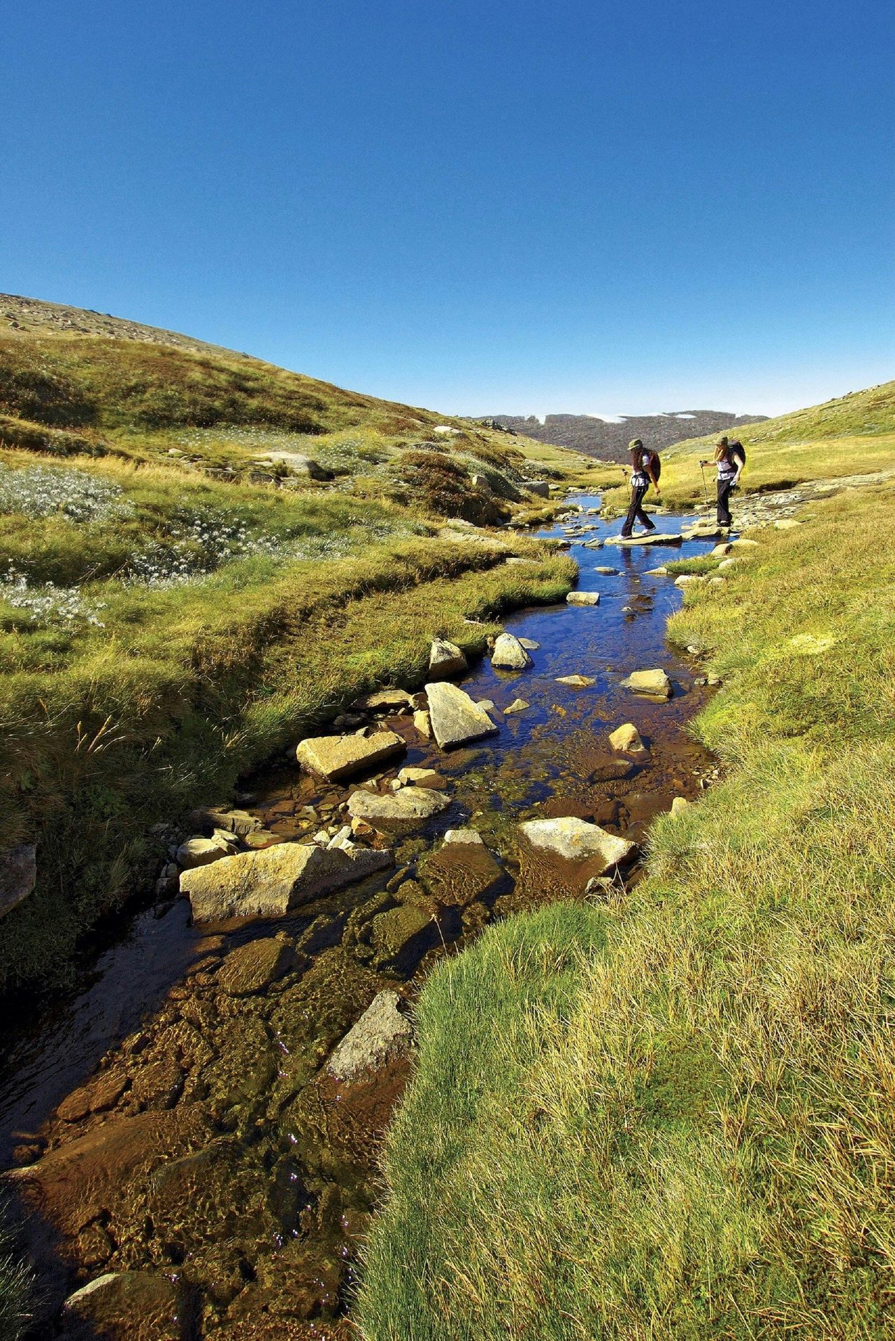 Australian Alps Walking Track