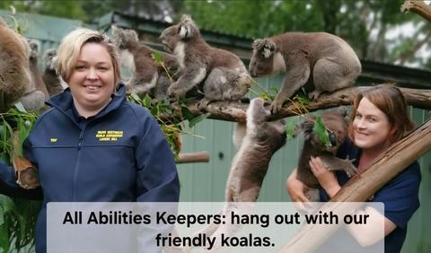 Fauna Australia Koala Experience and Accommodation
