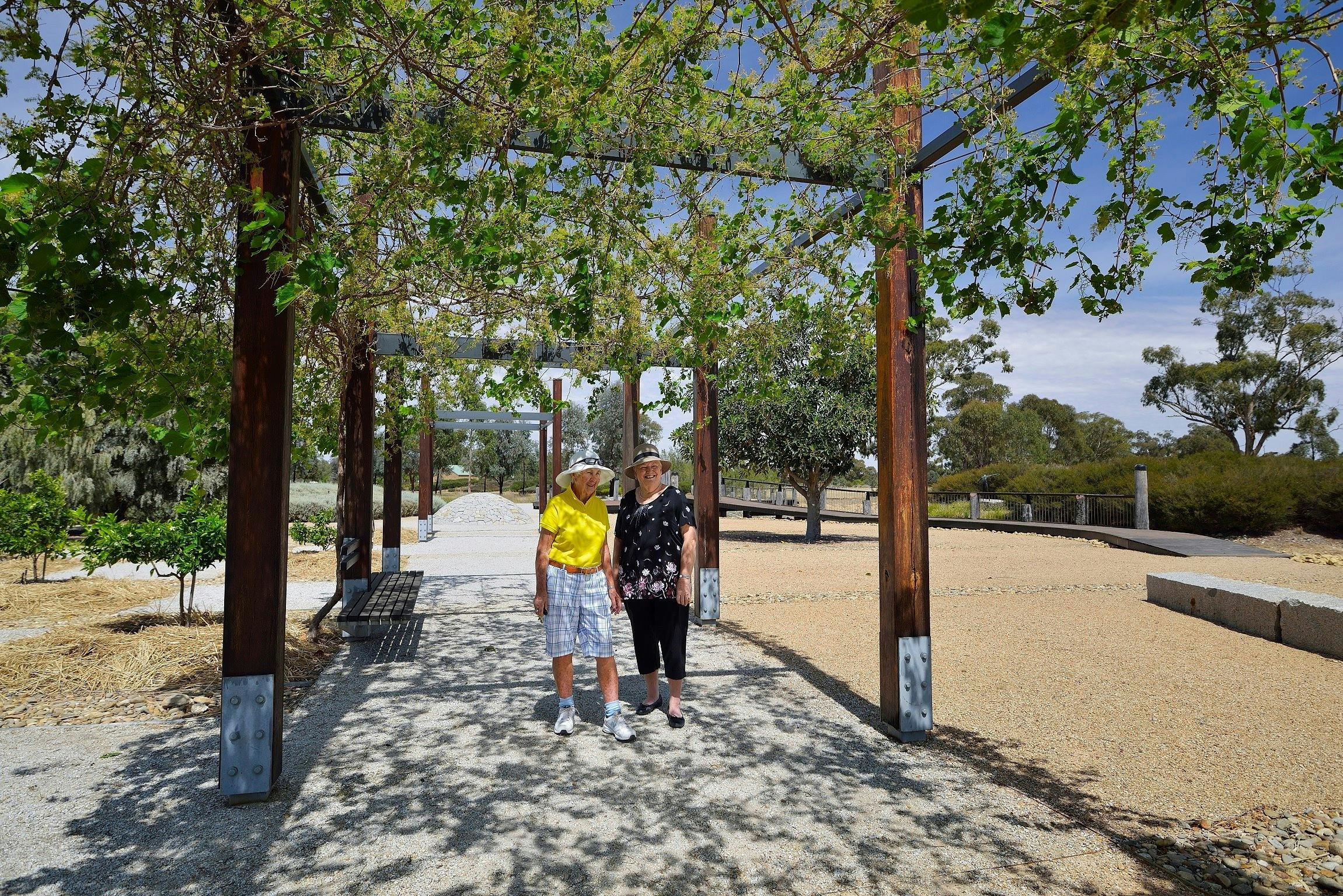 Having a stroll under the arbour