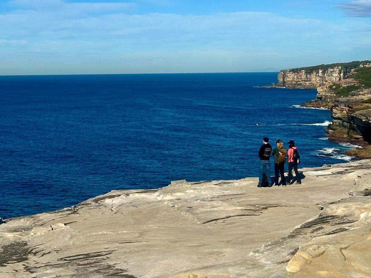Sydney: Royal National Park Coast & Rainforest, Koalas & Lunch