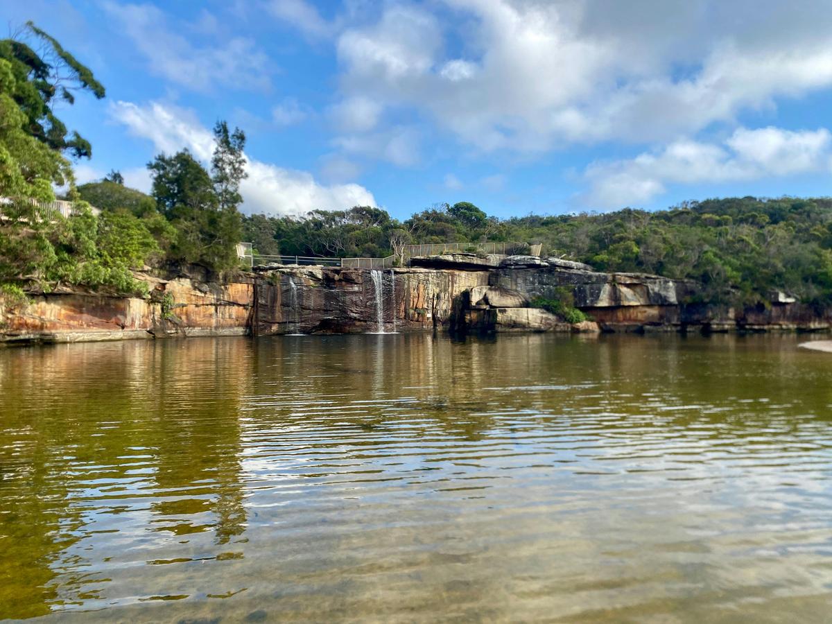 Sydney: Royal National Park Coast & Rainforest, Koalas & Lunch