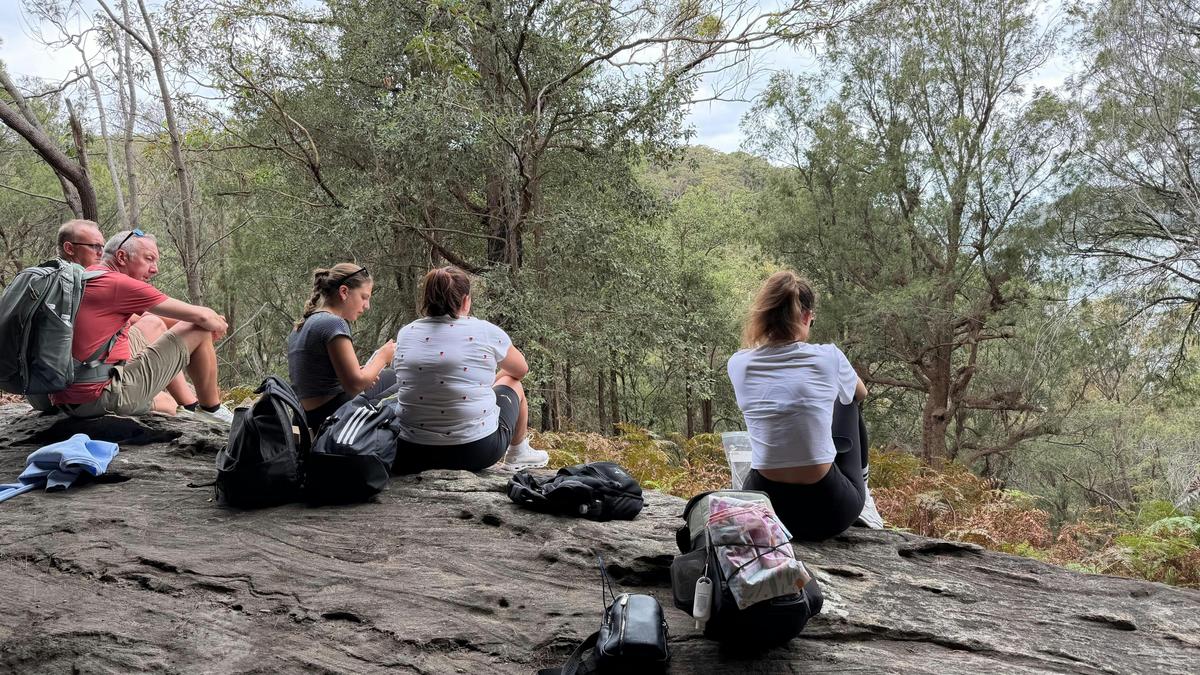 Sydney to Ku-ring-gai National Park