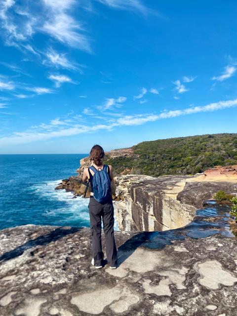 Sydney: Royal National Park Coast & Rainforest, Koalas & Lunch