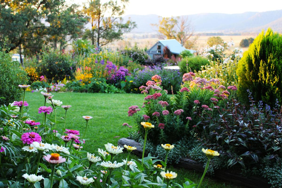 A riot of colour