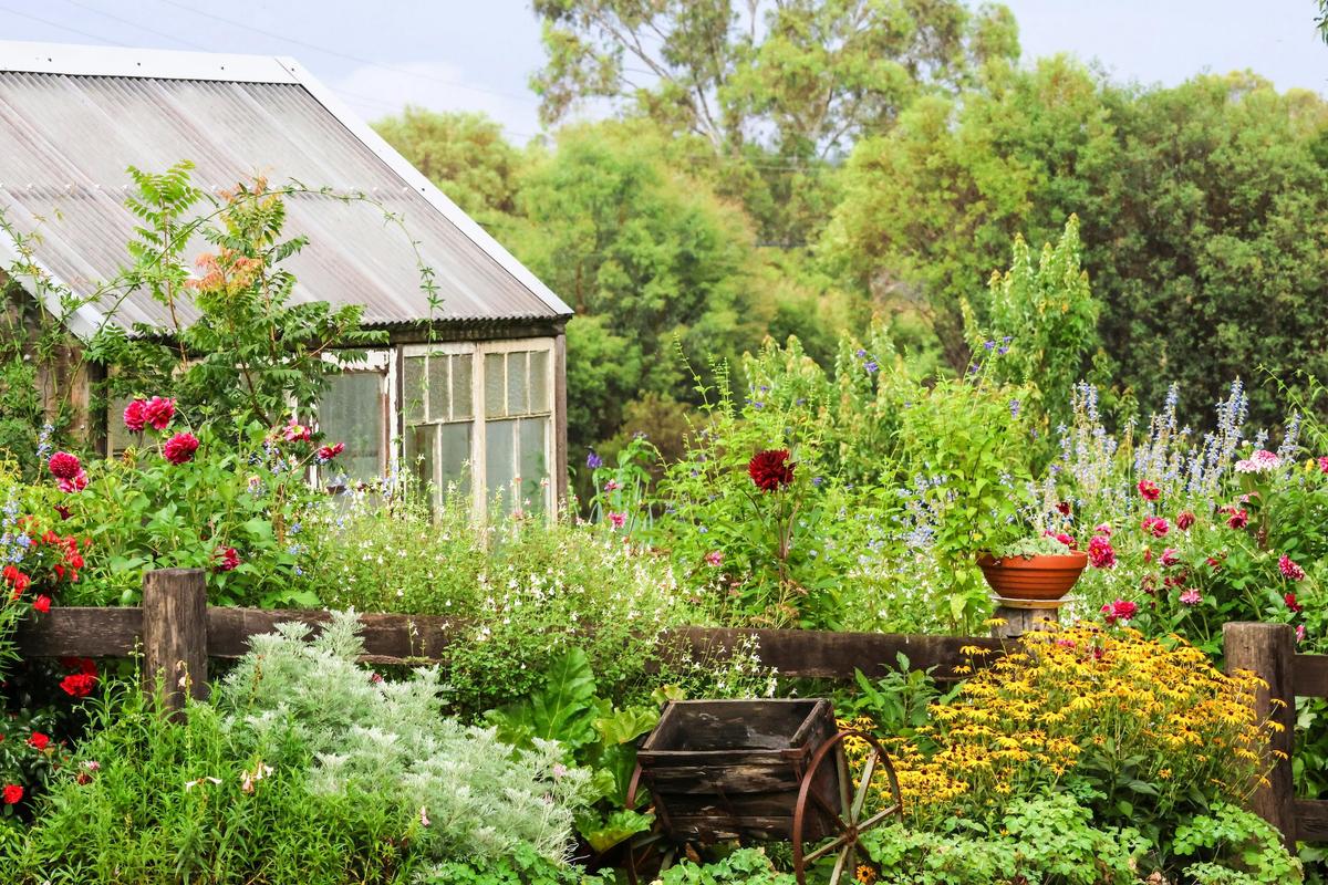 Hothouse garden