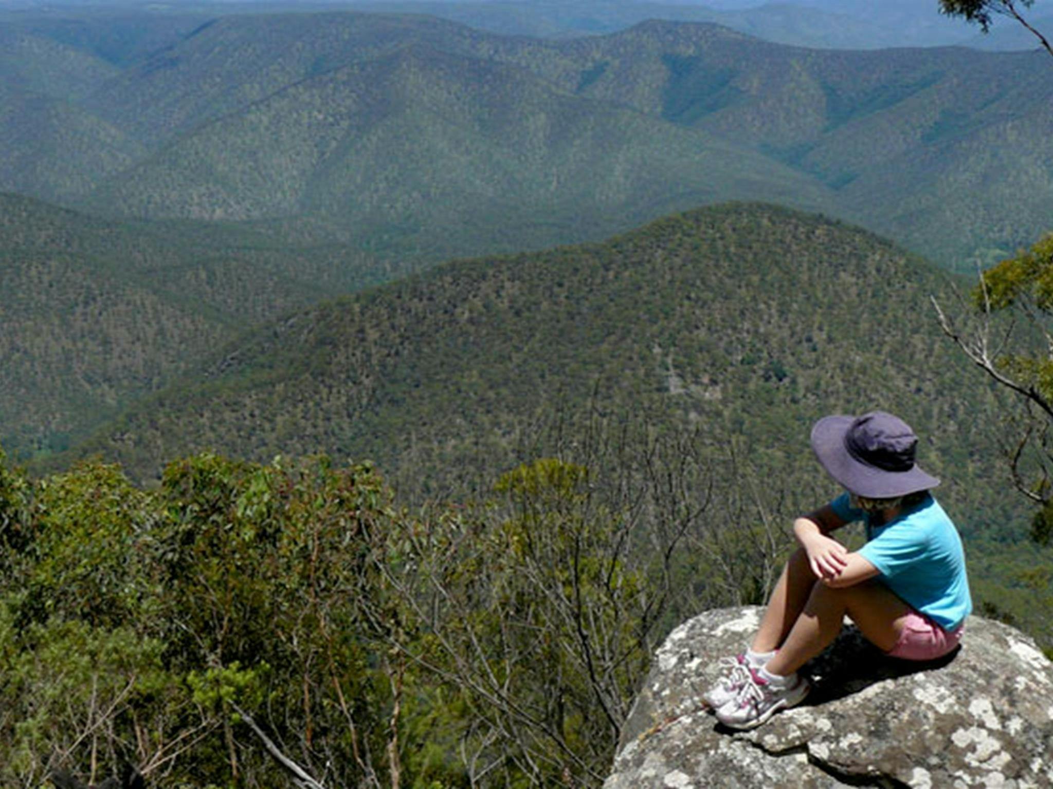 Misty Creek Lookout, Guy Fawkes River National Park. Photo: Barbara Webster/NSW Government
