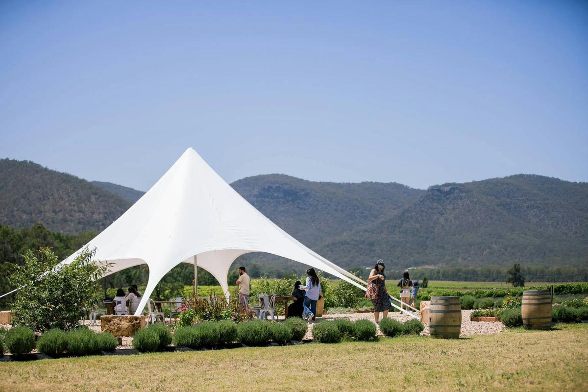 Hunter Lavender Farm