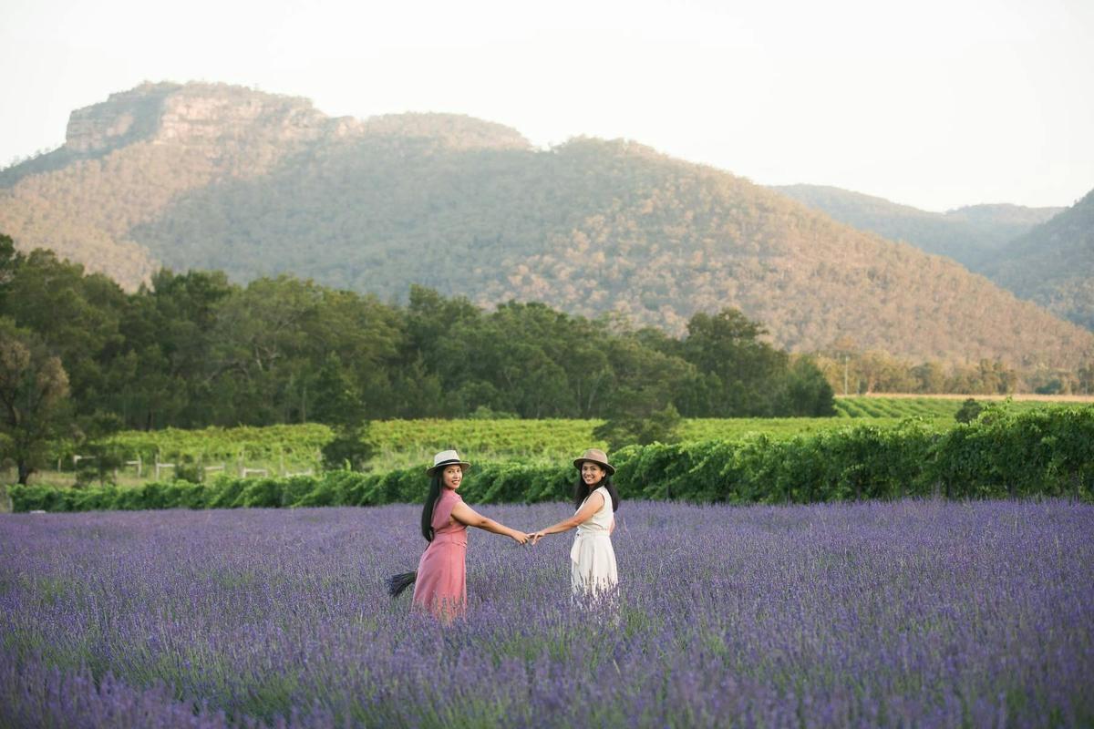 Hunter Lavender Farm