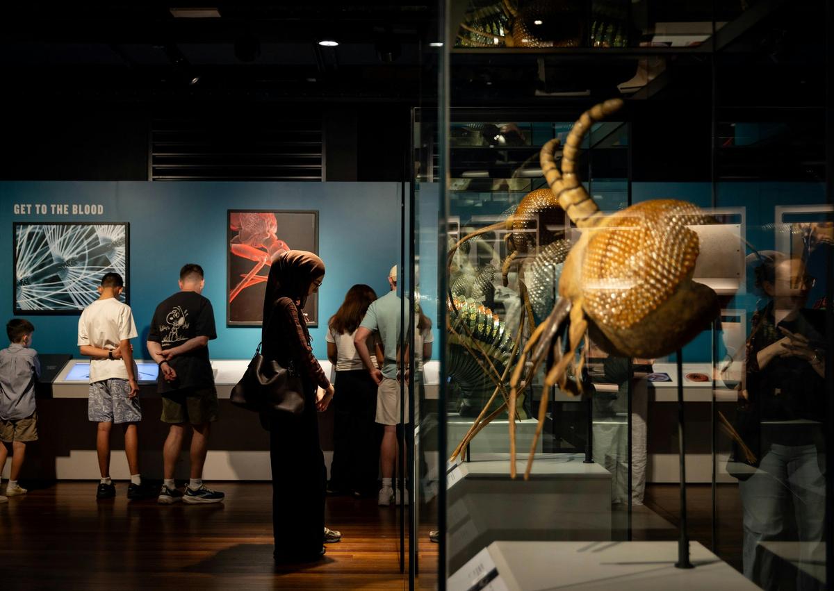 Fang-tastic School Holiday Fun at the Australian Museum