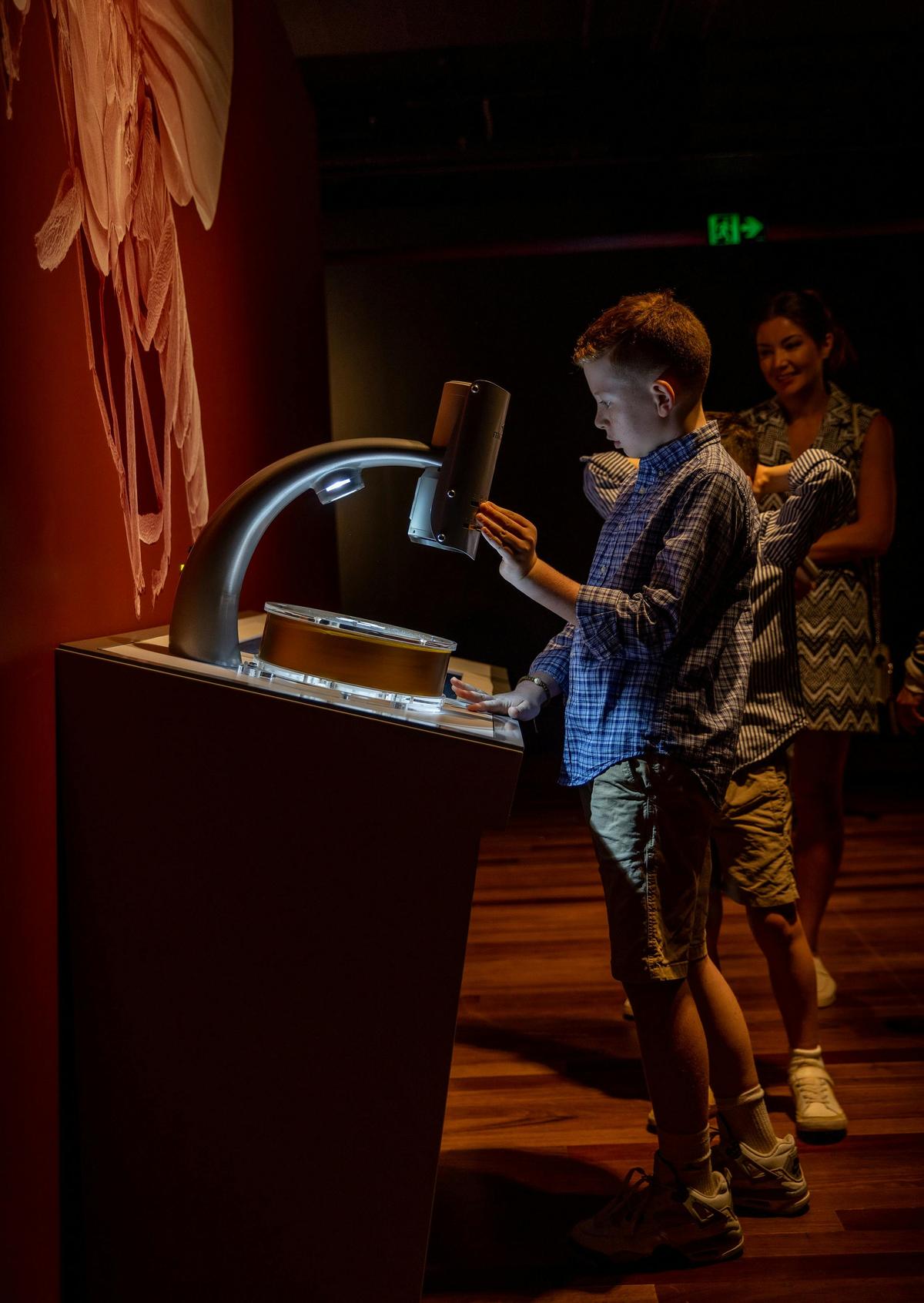 Fang-tastic School Holiday Fun at the Australian Museum