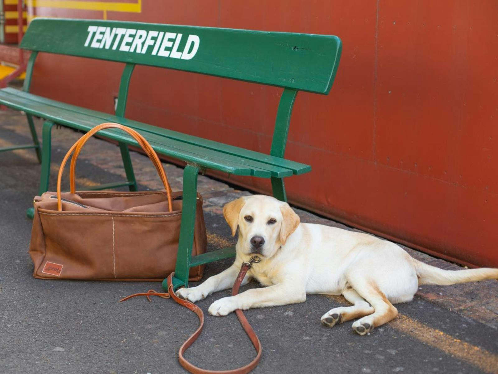 Leather travel bag and dog lead by Matilda Made Leather