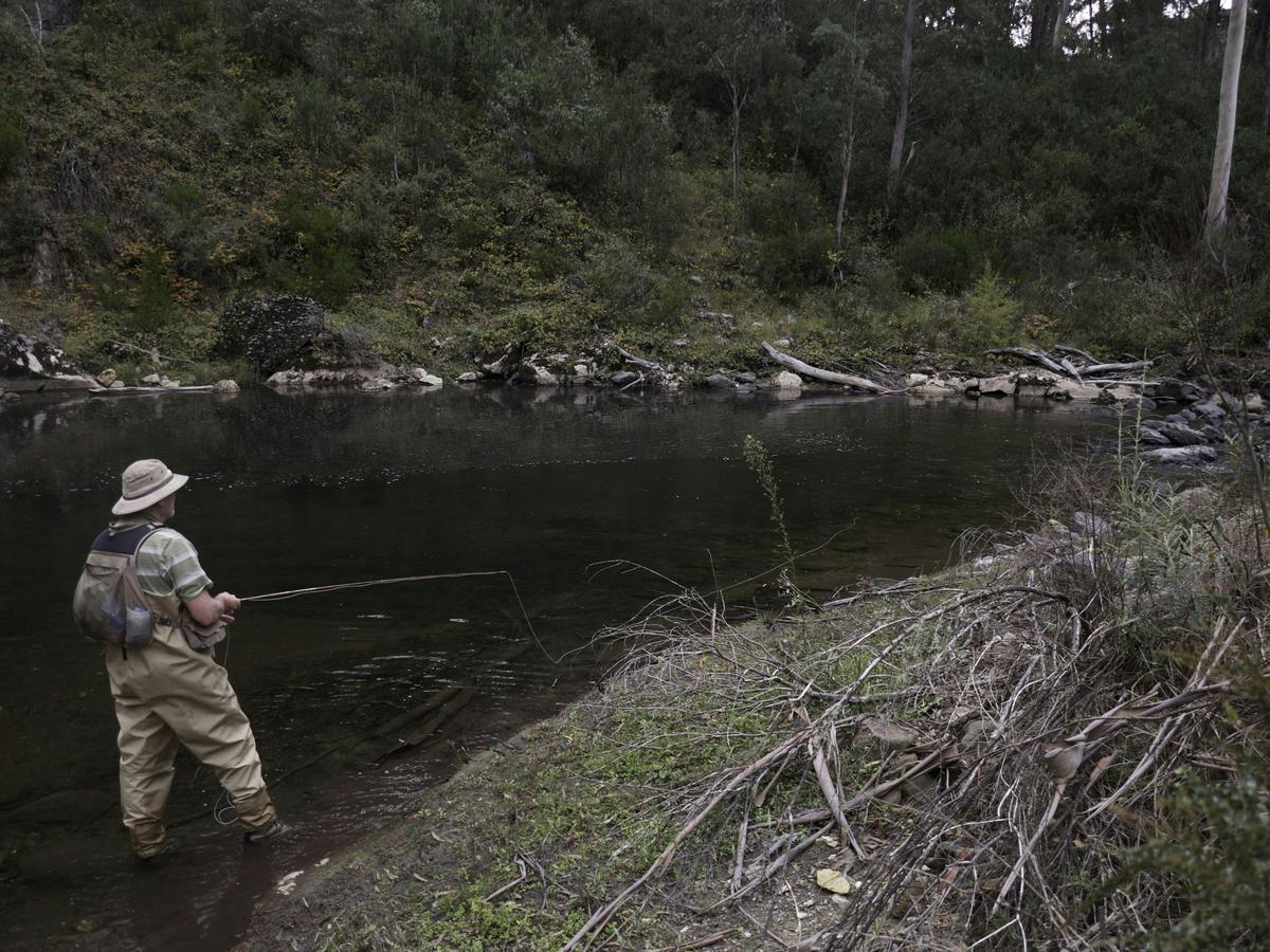 Learn fly fishing in the snowy mountains
