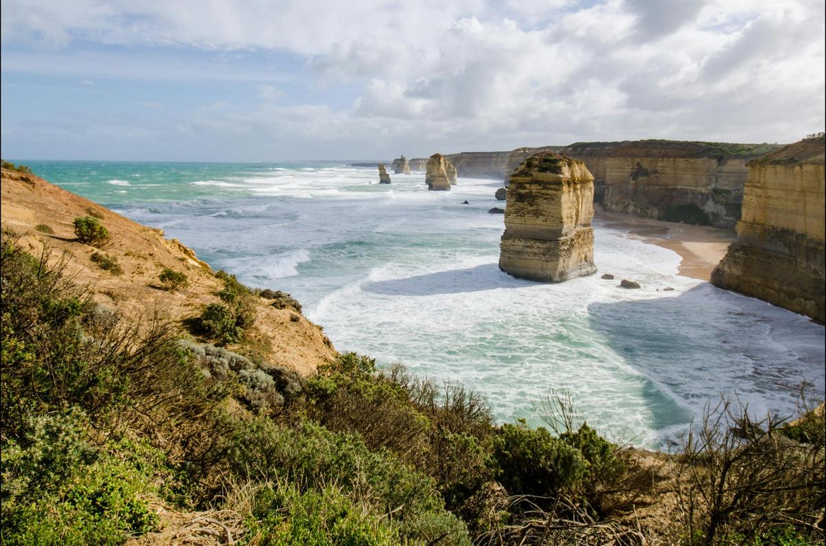 Wildlife Tours Australia - Victoria