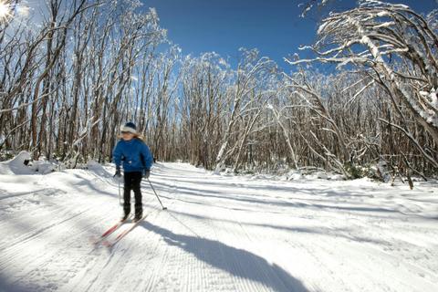 One Day Lake Mountain Snow Waterfalls and Chocolate Tour