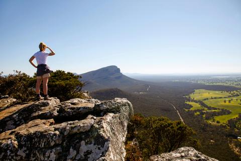 One Day Grampians National Park and Kangaroos