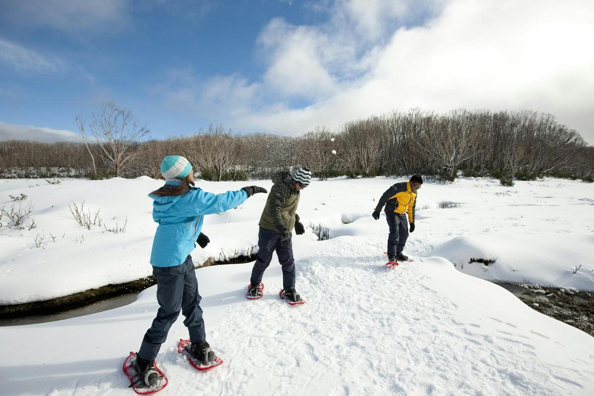 One Day Lake Mountain Snow Waterfalls and Chocolate Tour