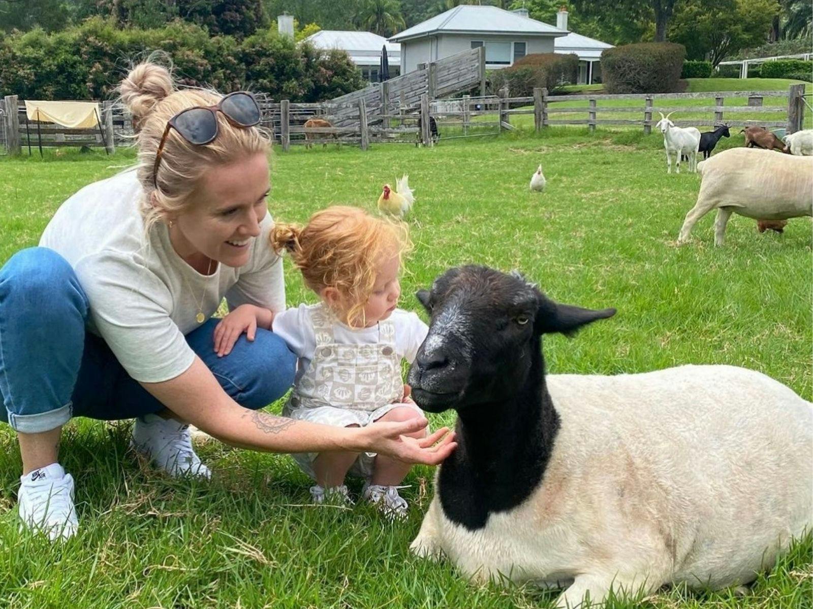 A heart warming moment shared between visitors and Lacey, a rescued sheep.