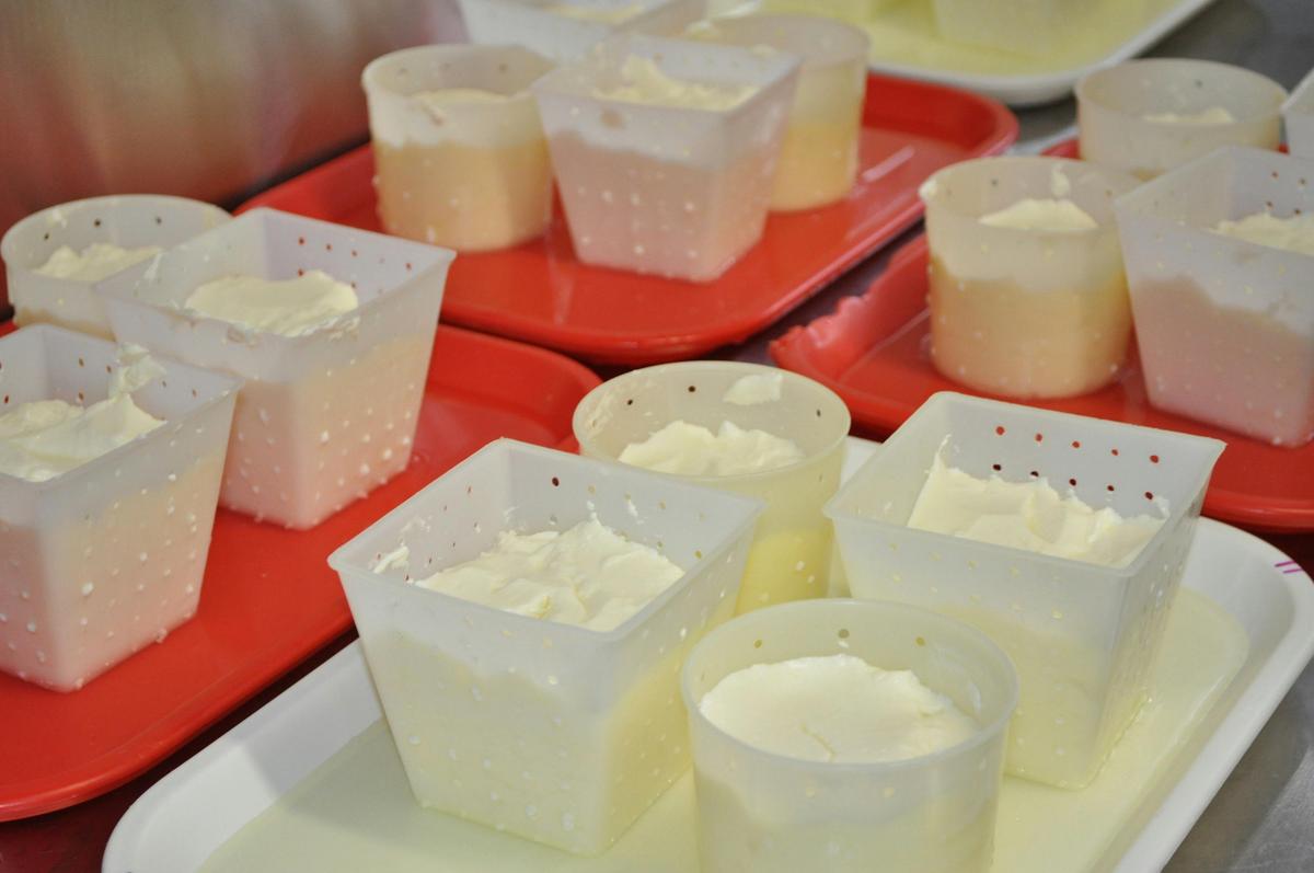 Kangaroo Valley Intensive Cheesemaking Workshop
