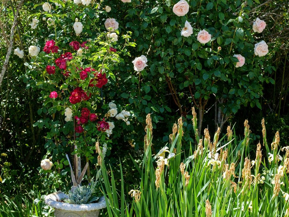 Riversdale Spring Garden History Tours and Open Day