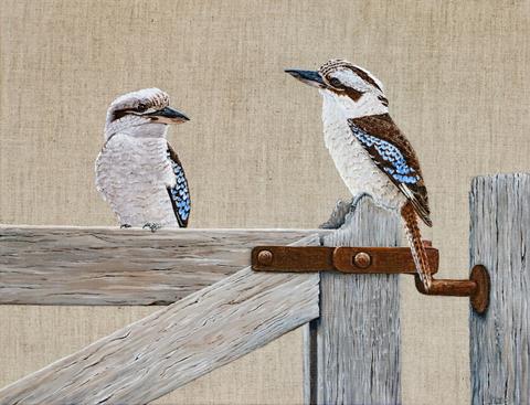 Jodie Usher Gallery