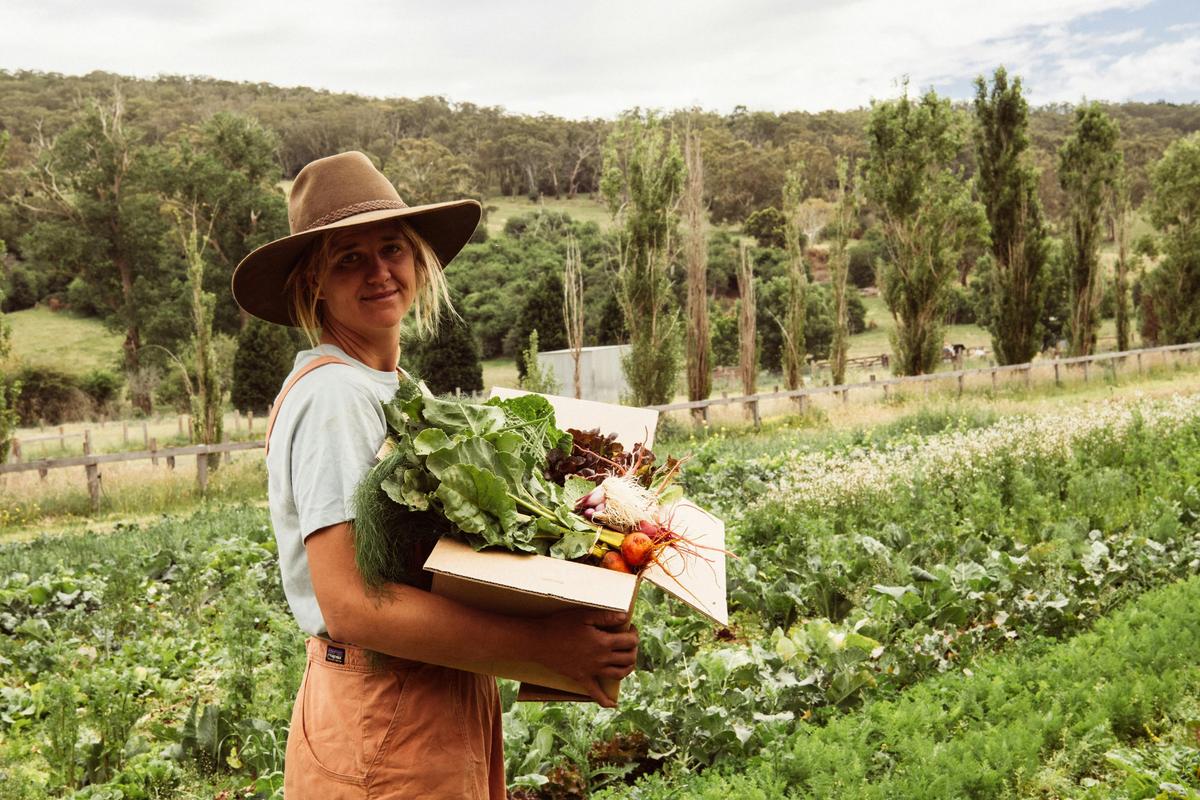 Farmer Lindsey in Burradoo Park Farm market garden