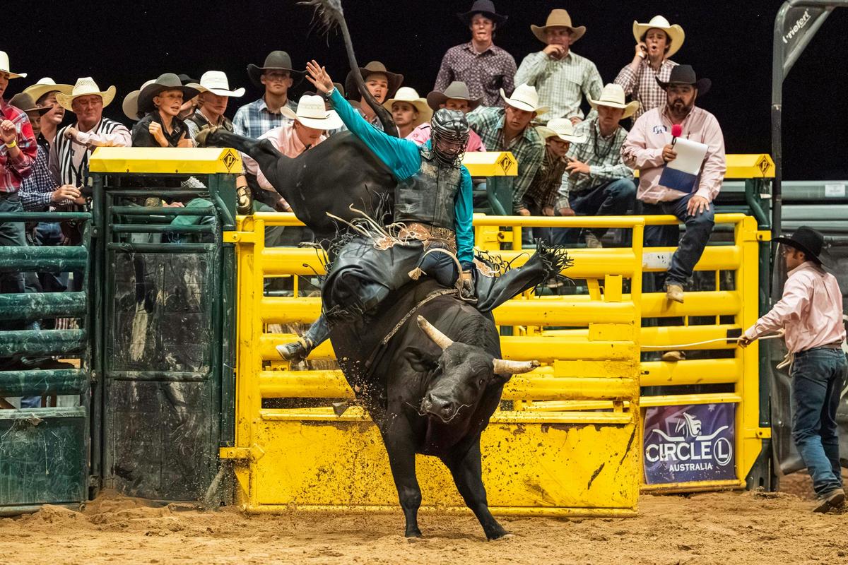 Bull Ride