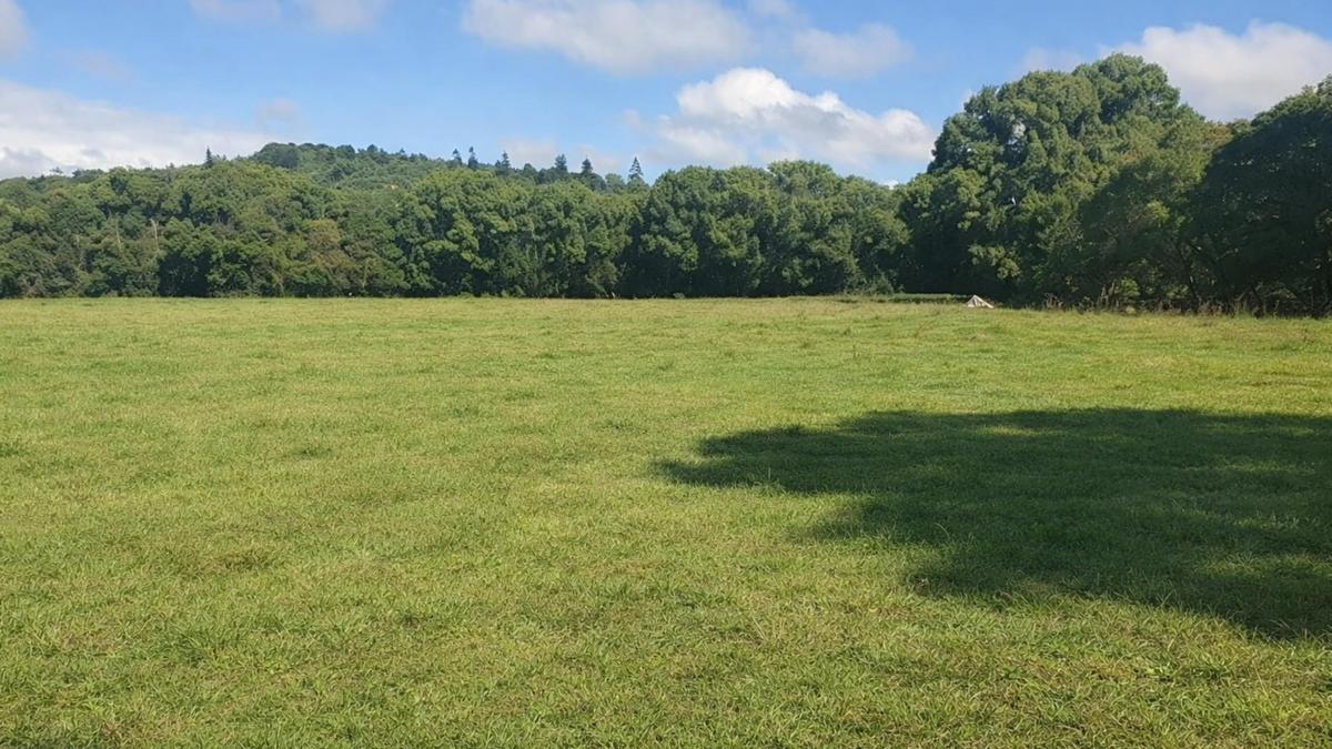 Greengates - Off Leash Dog-Friendly Camping