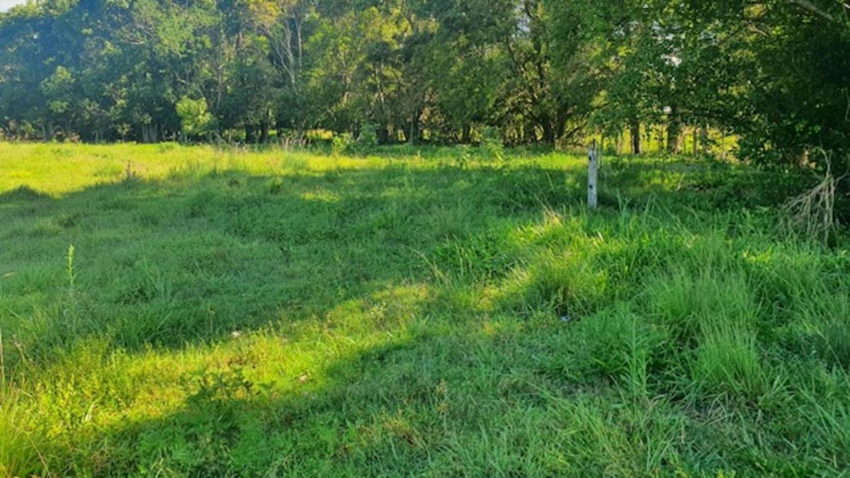 Greengates - Off Leash Dog-Friendly Camping
