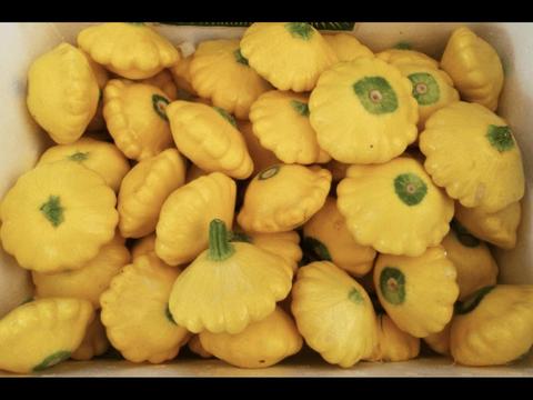 Marrickville Market