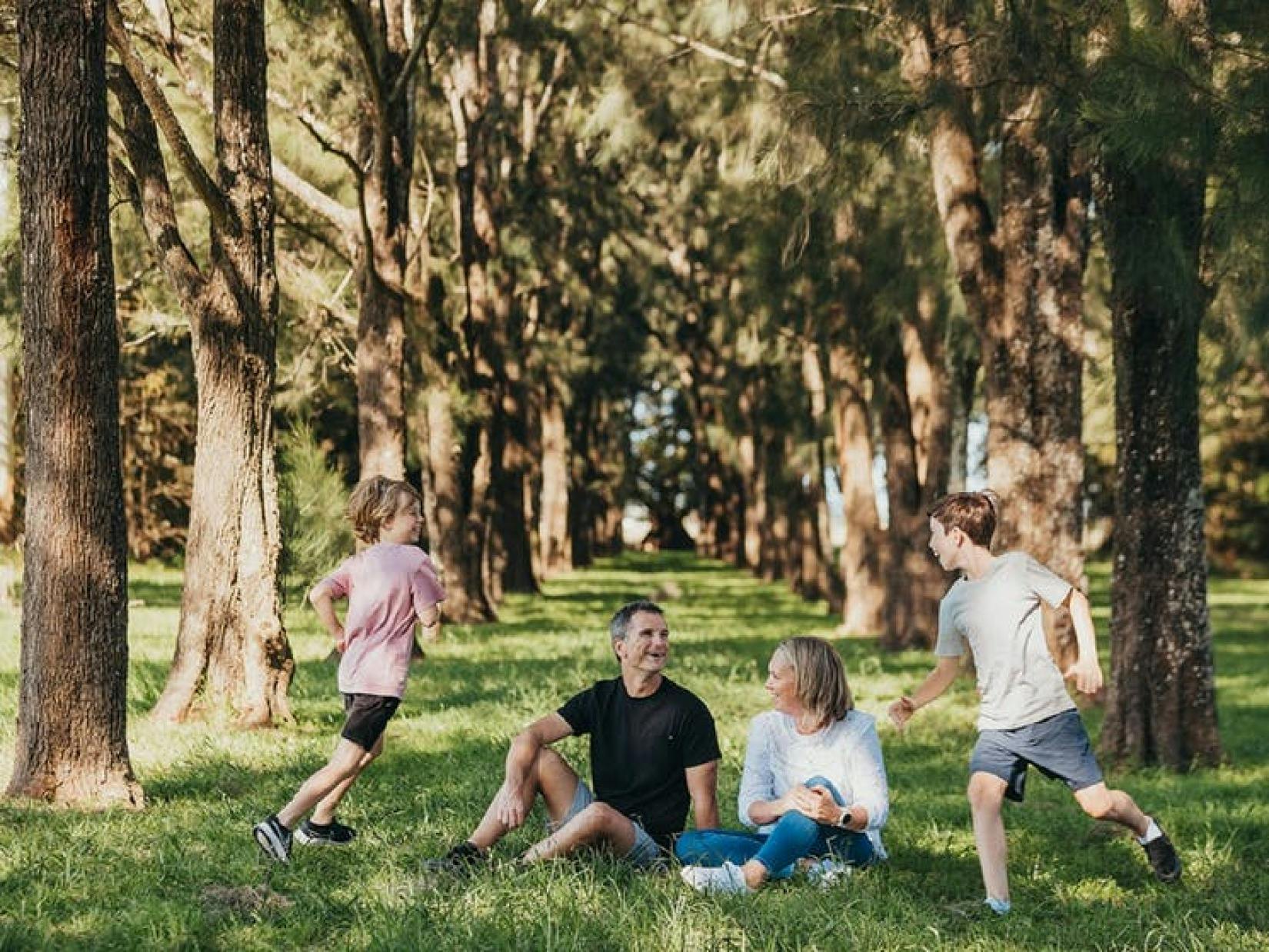 Morpeth Avenue of Trees