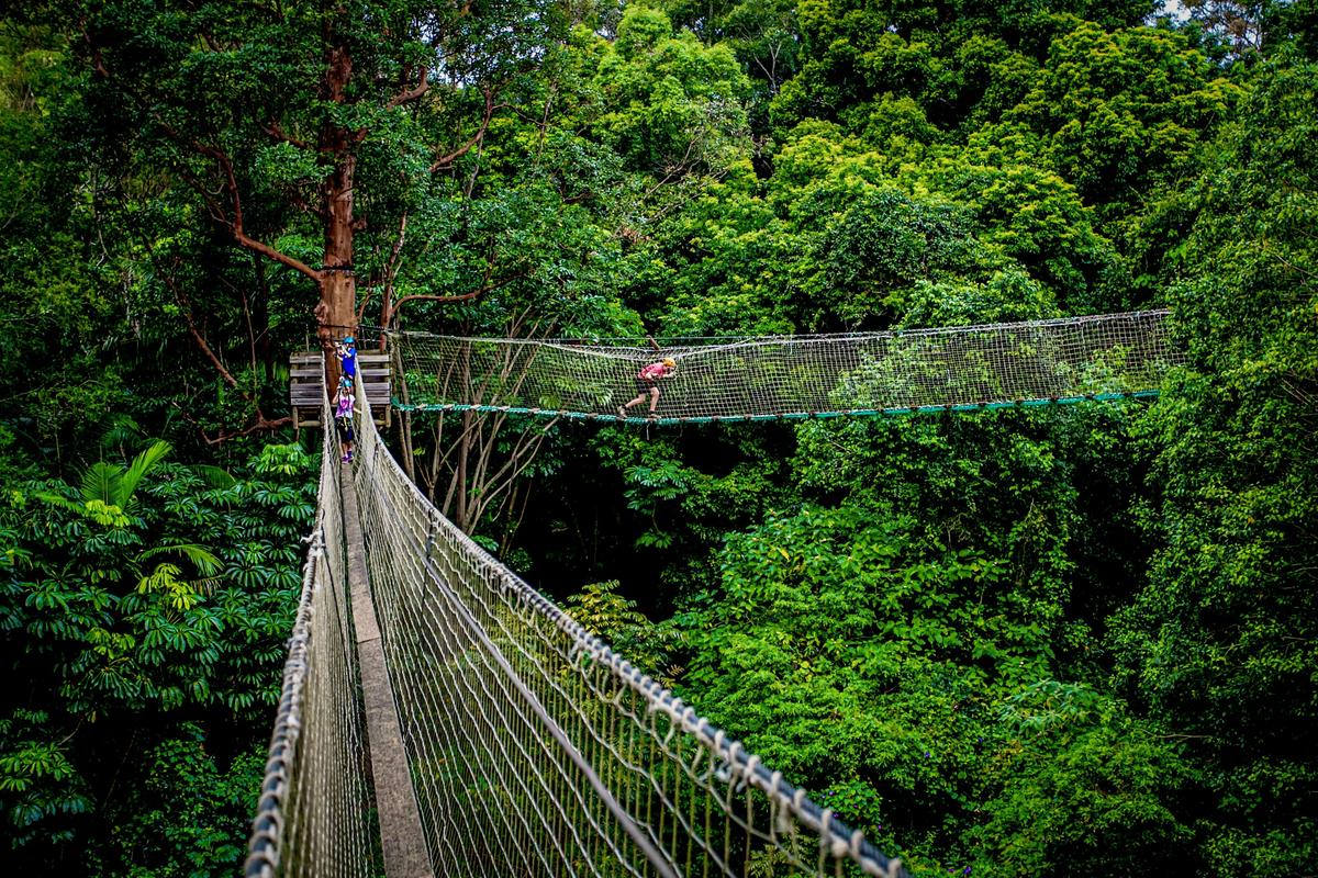 Treetop Challenge
