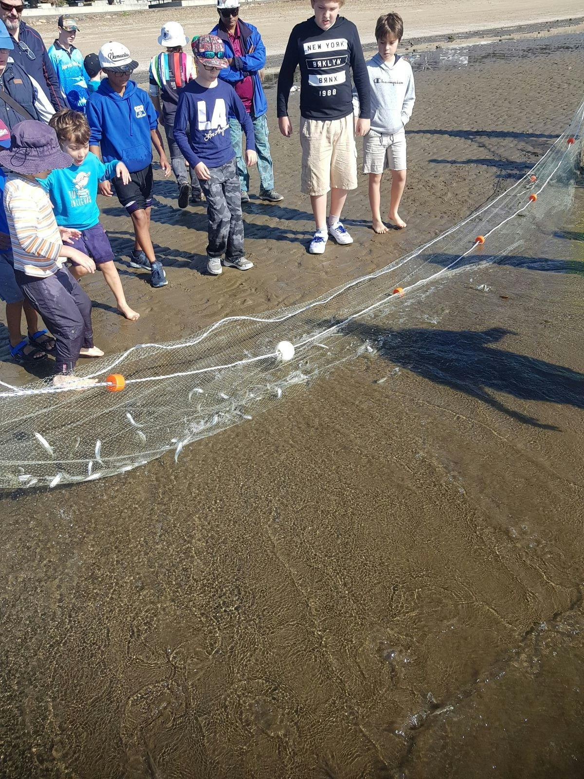 Bait gathering - checking the catch from the bait net
