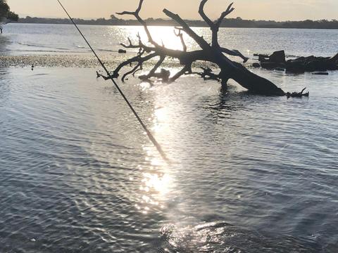 2 Bent Rods