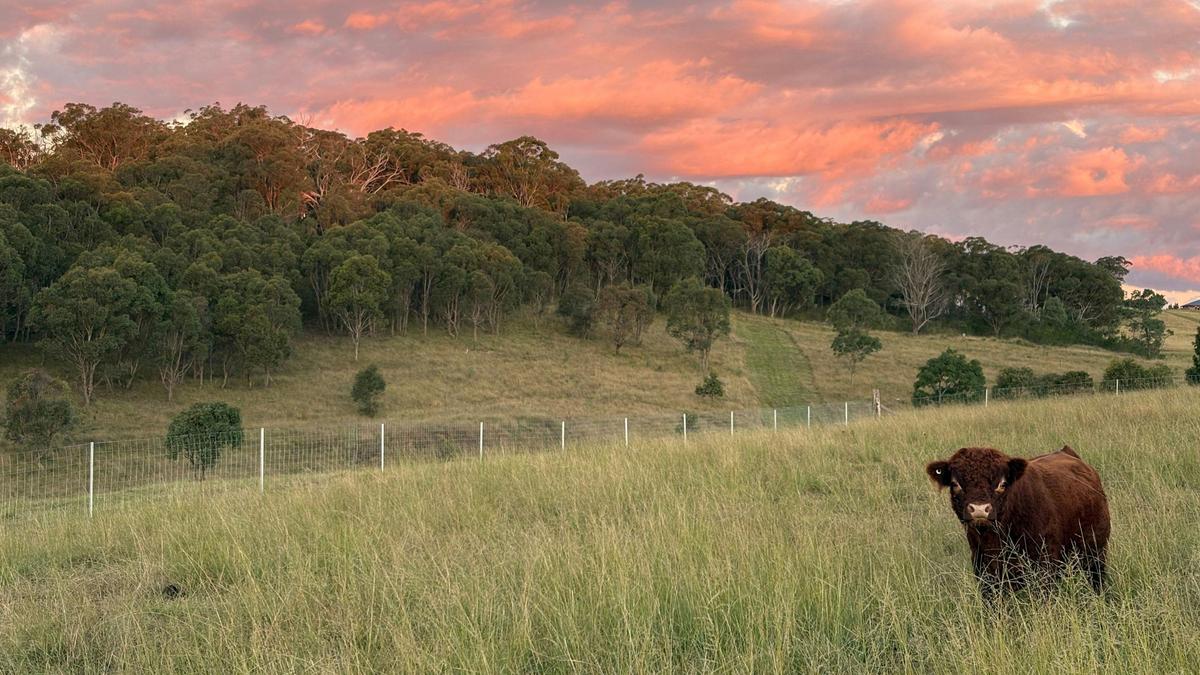 Hundred Acre Farmstay