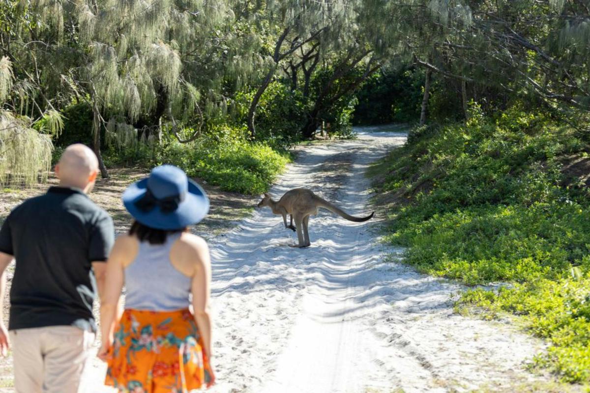 Bribie Island 4WD, Kayak, Beach and WWII Bunker Tour