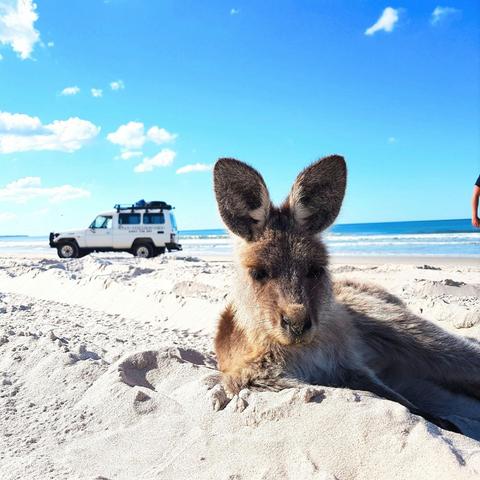 4WD G'day Adventure Tours