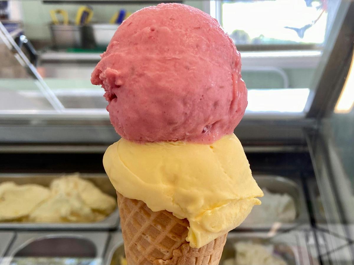 Sorbetto Gelato made from MacLeay Island grown fruits