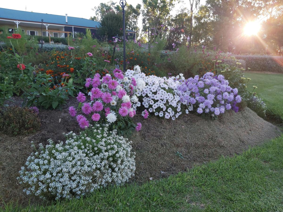 Captivating Gardens