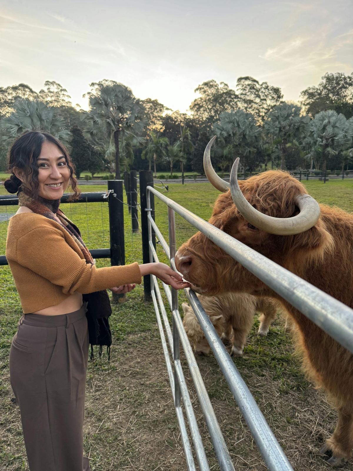 Meeting Moofy