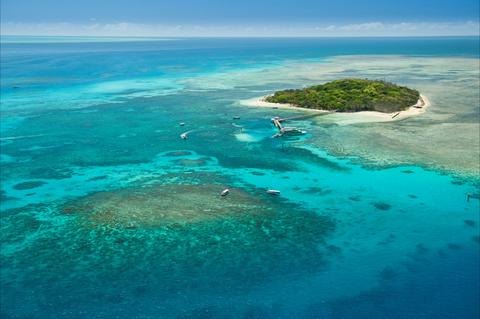 Green Island Reef Cruise Half Day 9am (HDAM - Pak 5)