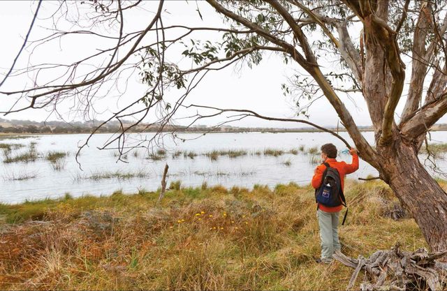 Little Llangothlin Nature Reserve
