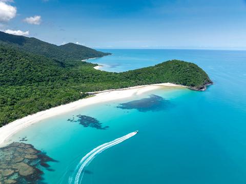 Daintree Rainforest + Mossman Gorge Full Day Tour- Cairns Adventure Group
