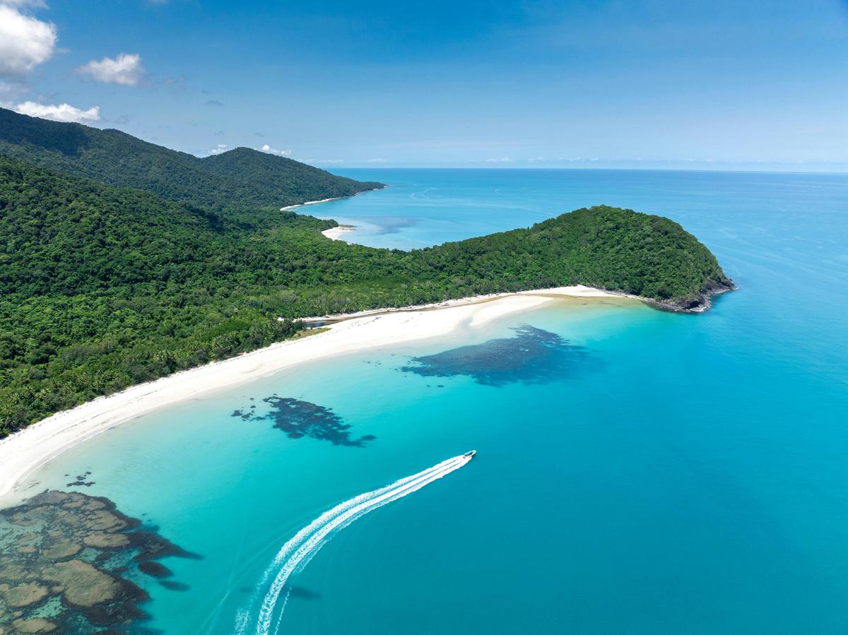 Daintree Rainforest + Mossman Gorge Full Day Tour- Cairns Adventure Group