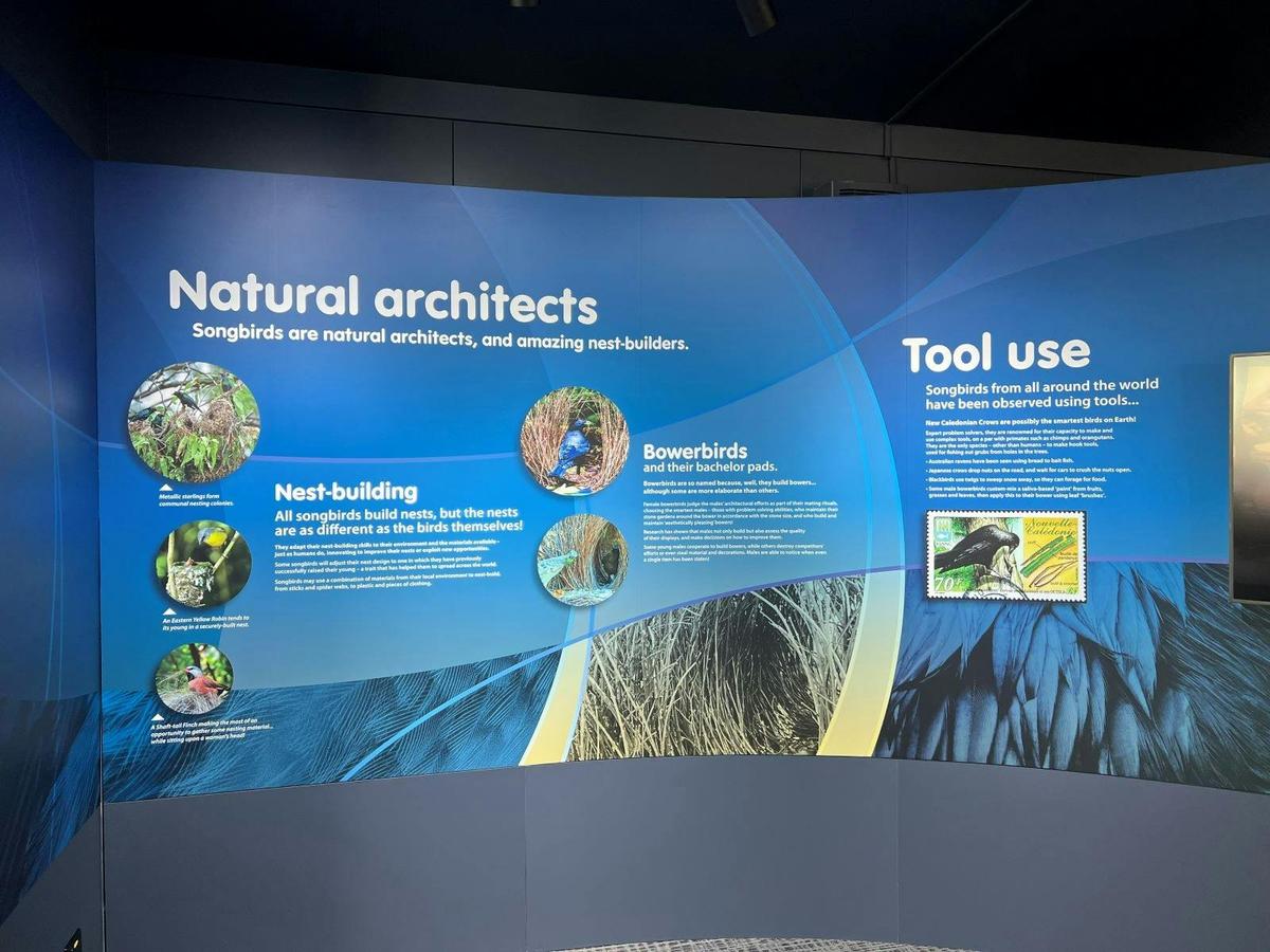 Fossil Museum Display
