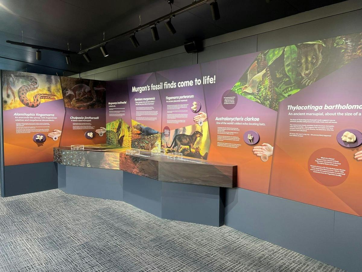 A section of the fossil display.