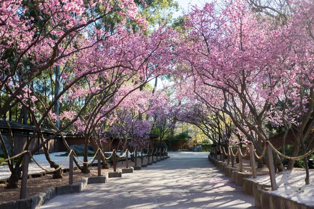 Auburn Botanic Gardens