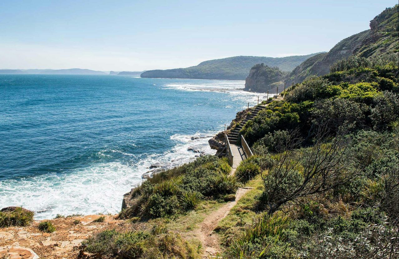 Mount Bouddi walking track, Bouddi National Park. Photo: John Spencer