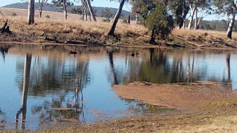 Adavale Farm experience