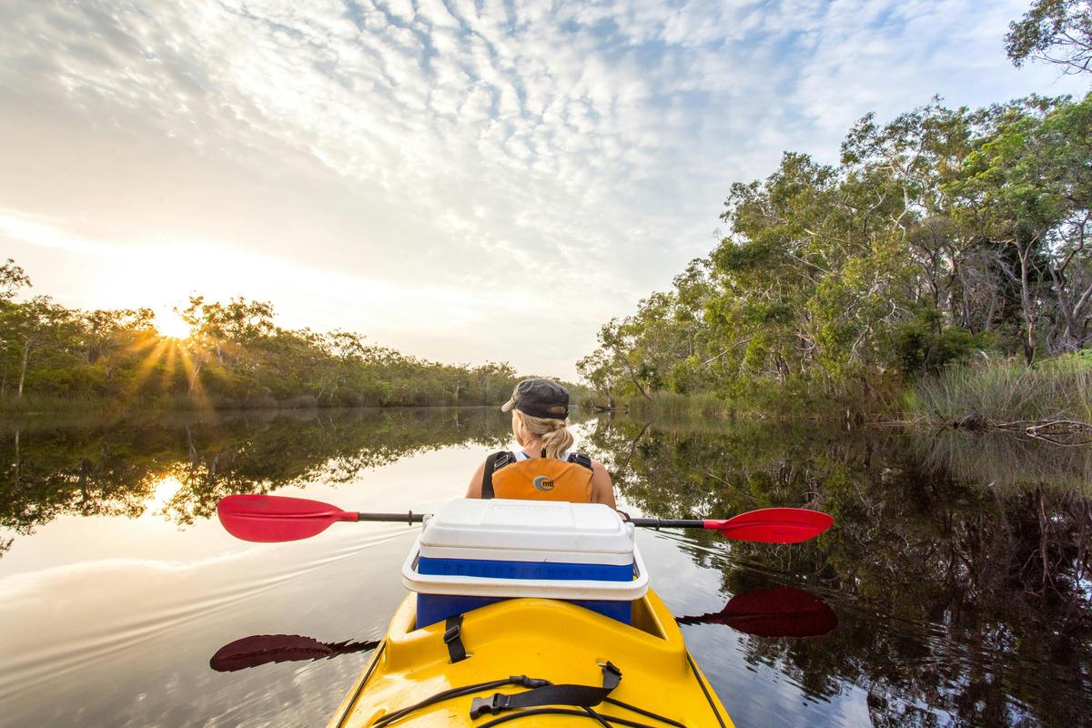 Kayaking the Noosa Everglades